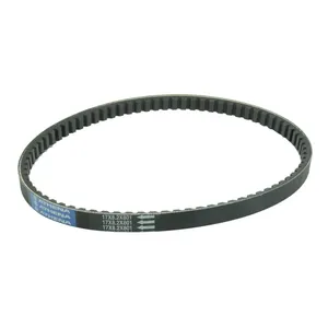 Correa de transmisión Standard para motocicleta Harley-Davidson