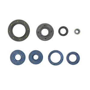 Kit de juntas tóricas de motor Athena