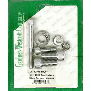 Juego de soportes de motor <span style="color: red;font-size: 0,5em">- PEDIDO ESPECIAL -</span>