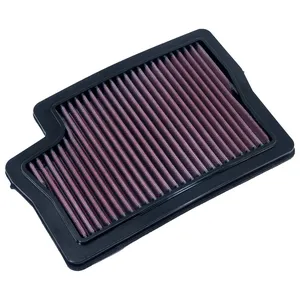 Filtro de aire DNA