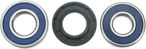 Kit de Rodamientos de Rueda <span style="color: red;font-size: 0,5em">- ALMACEN USA-</span>