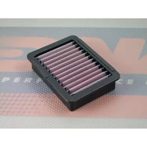 Elemento de filtro de aire DNA