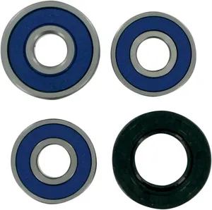Kit de Rodamientos de Rueda <span style="color: red;font-size: 0,5em">- ALMACEN USA-</span>