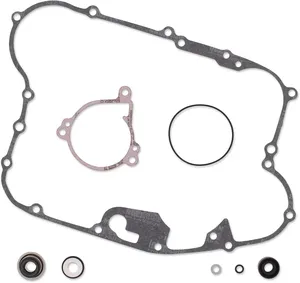 Kit de reconstrucción de bomba de agua <span style="color: red;font-size: 0,5em">- ALMACEN USA-</span>