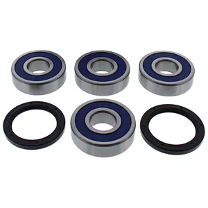 Kit de rodamientos de rueda All Balls, trasero