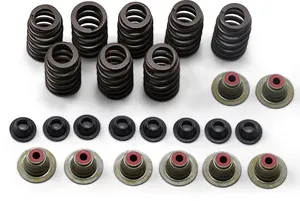 Valve Spring Kit - RZR springs 900 15-16