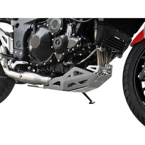Protector de motor Zieger plateado