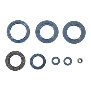 Kit de juntas tóricas de motor Athena