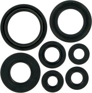 Juego de retenes de aceite para motor de motocicleta Harley-Davidson