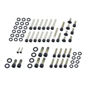 Screws4bikes, juego de tornillos del motor