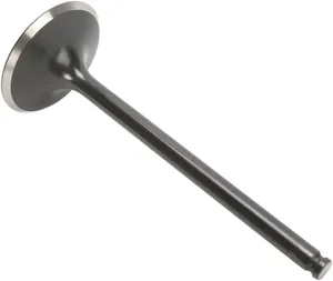Válvula de motor Black Diamond™ - 1 mm