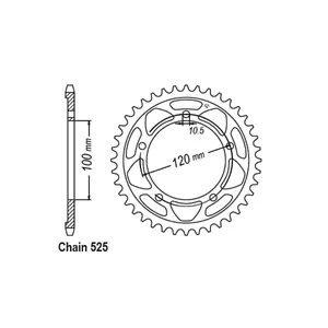 Piñón trasero JT 713.40