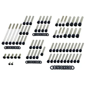 Kit de pernos de motor Screws4bikes