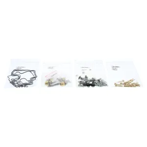 Kit de reconstrucción de carburador All Balls