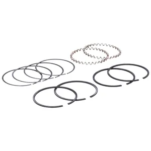 Juego de anillos de pistón Hastings, diámetro 2-3/4". +.020"