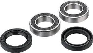 Kit de rodamientos de rueda para motocicleta