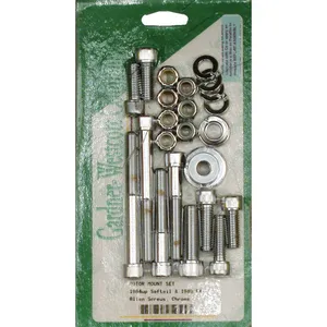 Kit de tornillos para soporte de motor, Allen <span style="color: red;font-size: 0,5em">- PEDIDO ESPECIAL -</span>