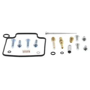 Kit de reconstrucción de carburador All Balls