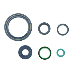 Kit de juntas tóricas de motor Athena