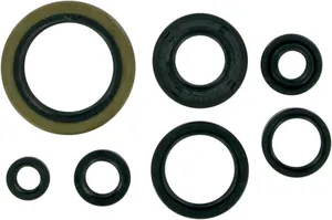 Juego de retenes de aceite para motor de motocicleta Harley-Davidson
