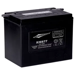 MCS, Serie Estándar - Batería sellada AGM. 12v, 30ah. 370cca