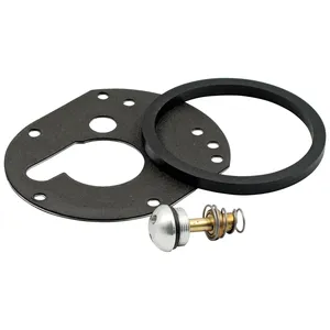 Jagg, kit de termostato de repuesto <span style="color: red;font-size: 0,5em">- PEDIDO ESPECIAL -</span>