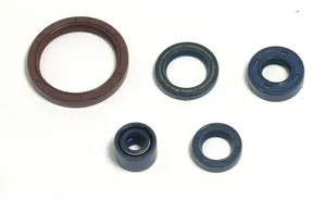 Retén de aceite de motor - Kit de juntas