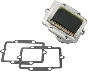 Conjunto de caja de láminas Rad Valve