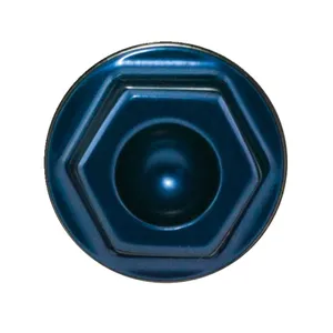 PM, Perno central para pinzas de 4 pistones vintage. Azul