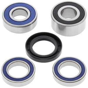 Kit de rodamientos de rueda All Balls, trasero