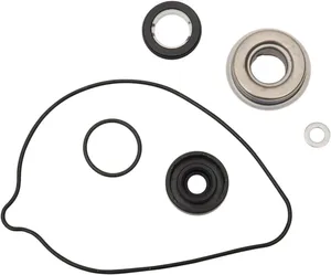 Kit de reconstrucción de bomba de agua <span style="color: red;font-size: 0,5em">- ALMACEN USA-</span>