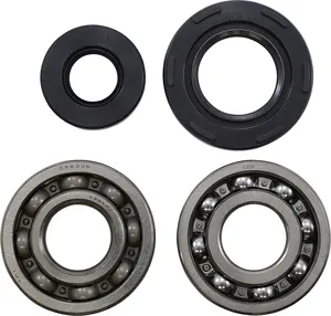 Kit de rodamientos principales y retenes - cojinetes KMB021