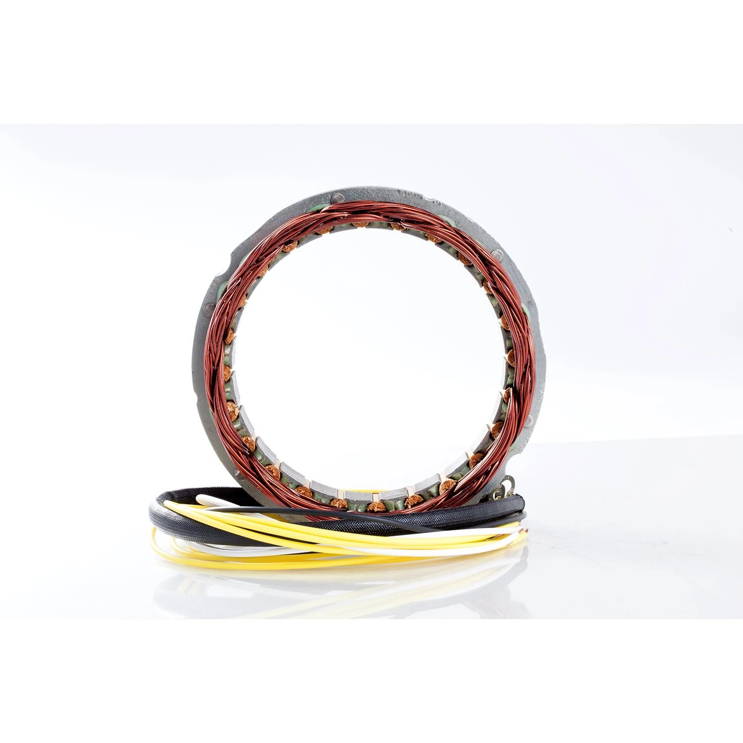 ak-9119-2395-rick-s-motorsport-electronics-1