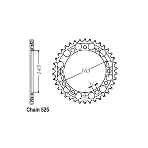 Piñón trasero JT 1311.44