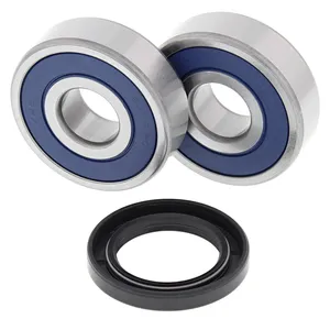 Kit de rodamientos de rueda All Balls, trasero
