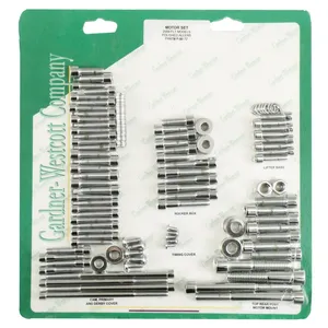 Juego de tornillos para motor. Allen de cromo pulido