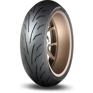 Dunlop, Neumático trasero Qualifer Core 160/60 ZR17 (69W)