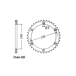 Piñón trasero JT 828.48