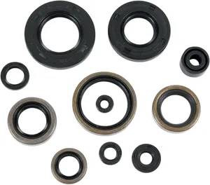 Juego de retenes de aceite para motor de motocicleta Harley-Davidson
