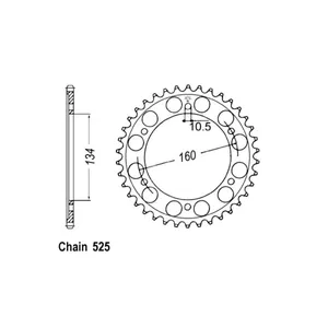 Piñón trasero JT 1307.42