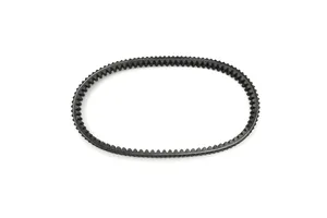 Correa de transmisión Premium para Harley-Davidson vista lateral
