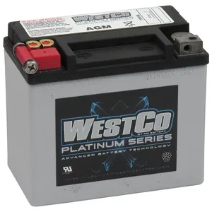 Westco, batería AGM sellada. 12 Volt, 10AMP, 180CCA