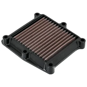 Elemento de filtro de aire DNA