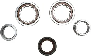 Kit de rodamientos y retenes de aceite para cigüeñal de motocicleta
