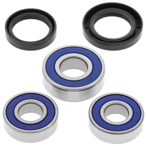 Kit de rodamientos de rueda All Balls, trasero