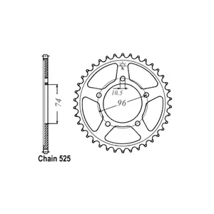 Piñón trasero JT 1313.40